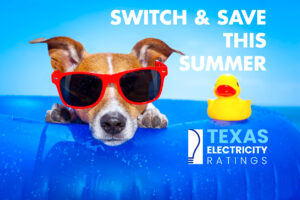 New Texas residents can learn how to shop for the best electricity rates and save!